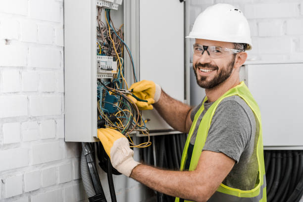 Best Home Electrical Repair  in Mount Olive, AL