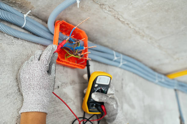 Best Licensed Electrician  in Mount Olive, AL